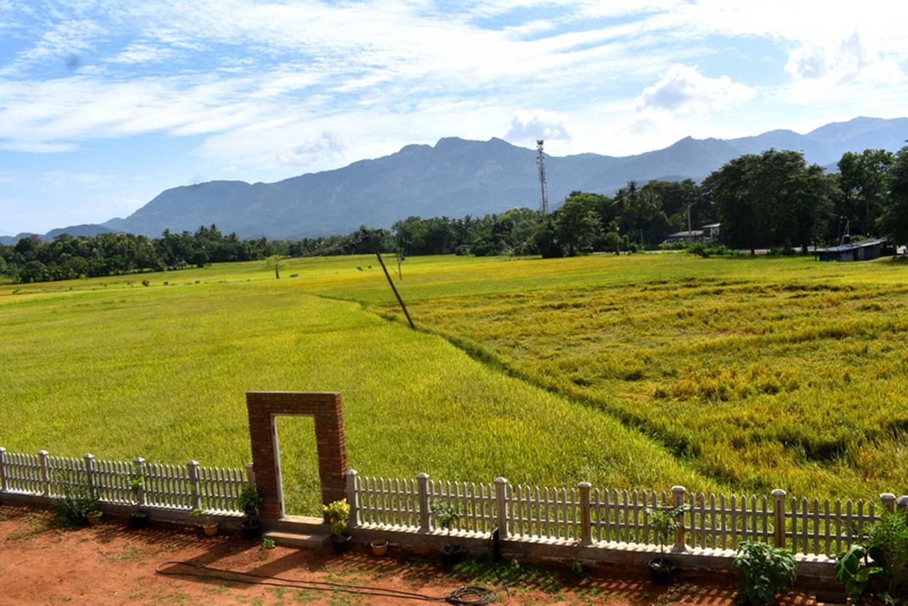 Green Heritage Holiday Resort Mahiyanganaya Bagian luar foto