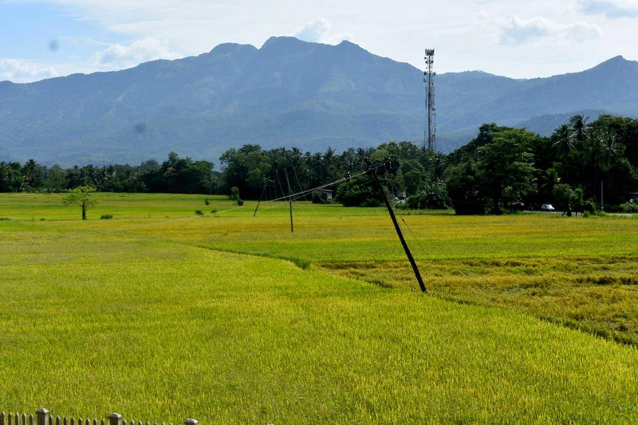 Green Heritage Holiday Resort Mahiyanganaya Bagian luar foto