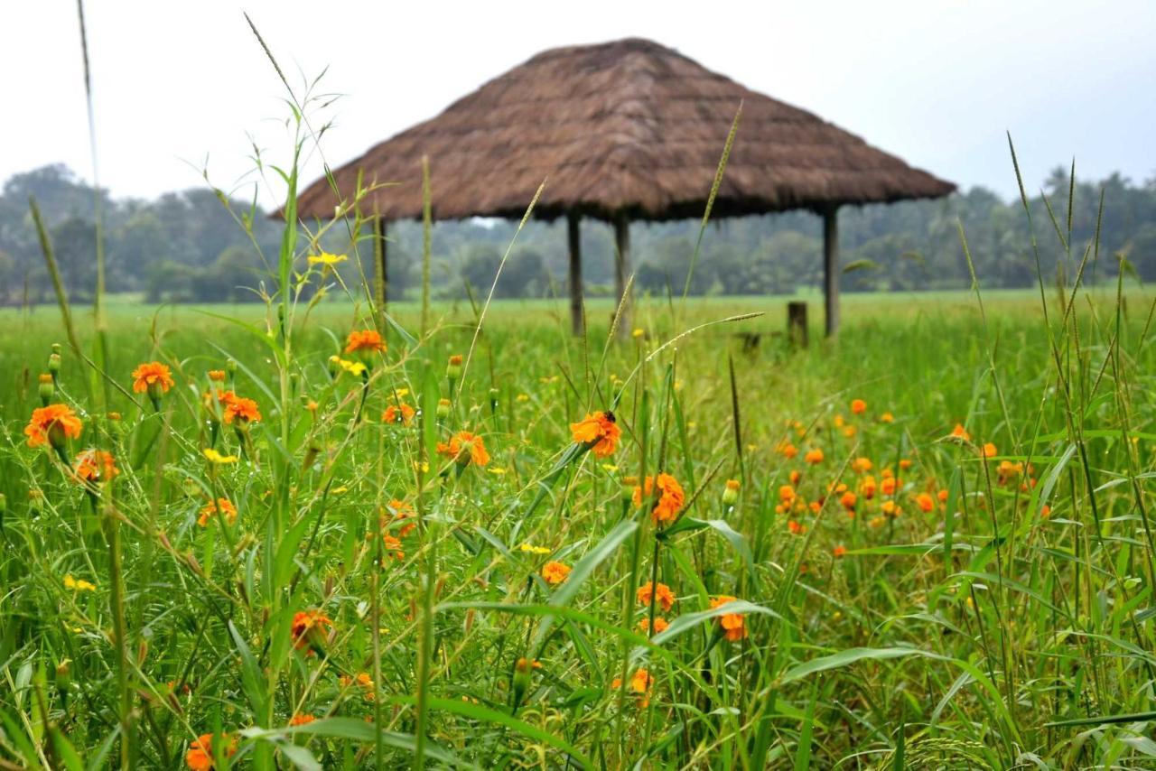 Green Heritage Holiday Resort Mahiyanganaya Bagian luar foto